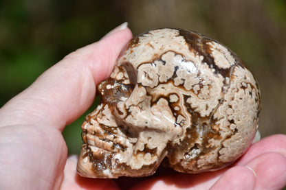 Aragonite carved skull