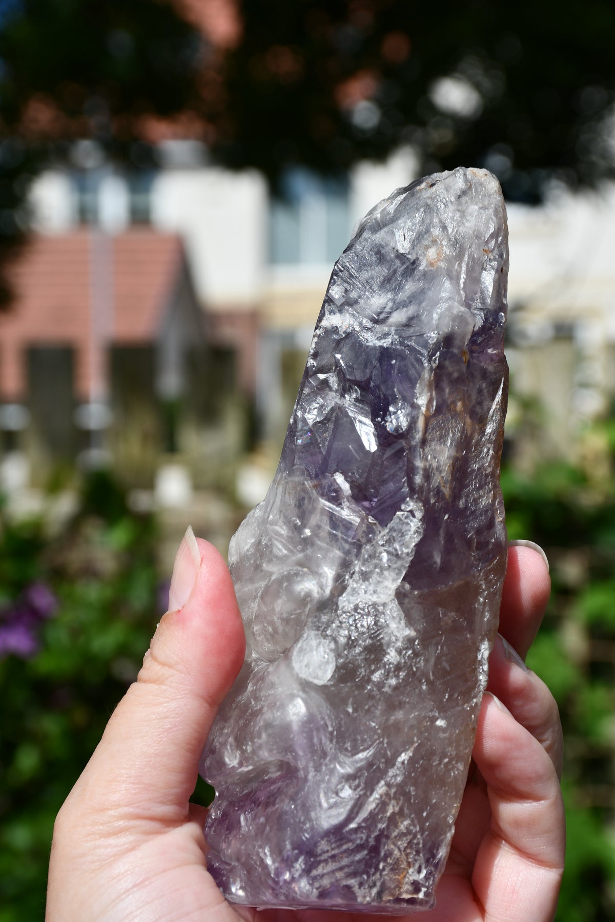 Manus phantom amethyst tribal skull carve