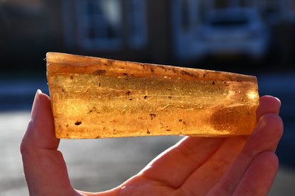 Copal or Amber with fossilised insects