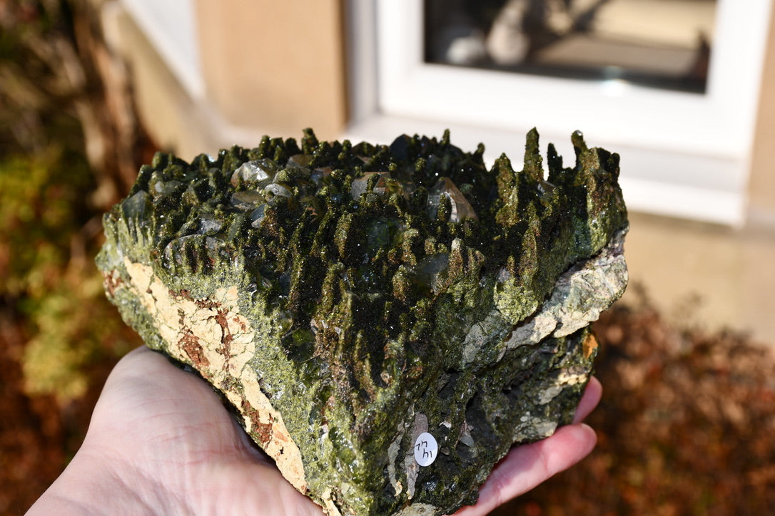 "Fairy forest" diopside and quartz cluster on matrix