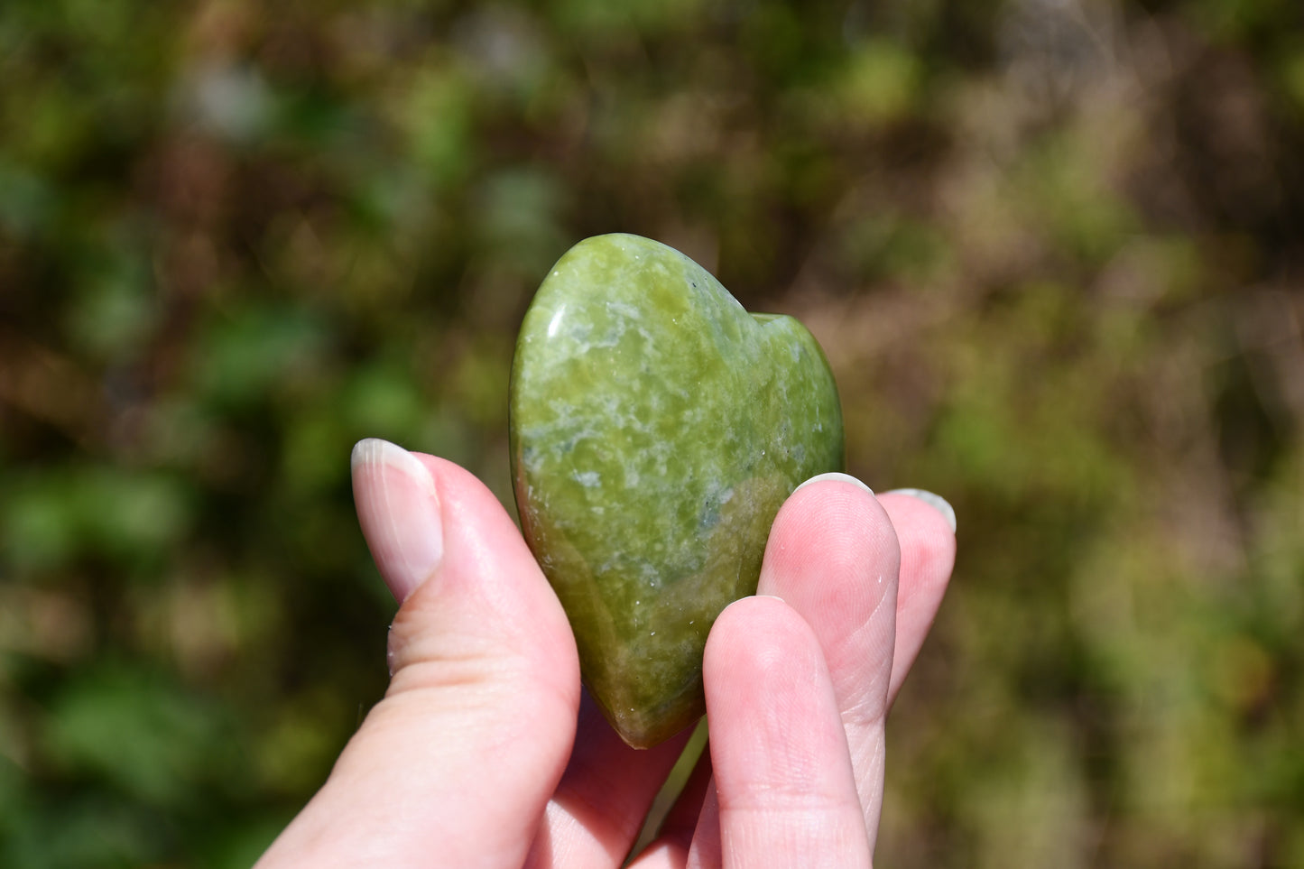 Serpentine heart