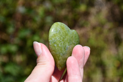 Serpentine heart