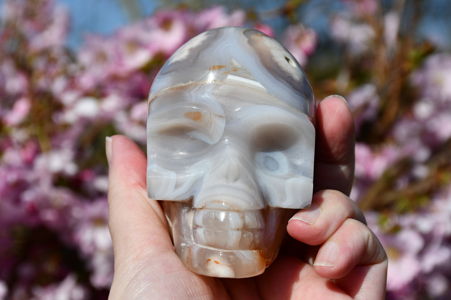 Flower agate skull