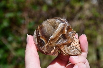 Aragonite carved skull