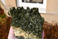 "Fairy forest" diopside and quartz cluster on matrix