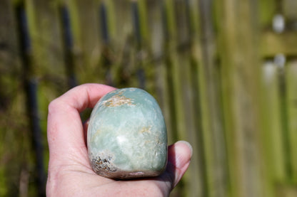 Namibian prehnite traveller skull - Manus carve