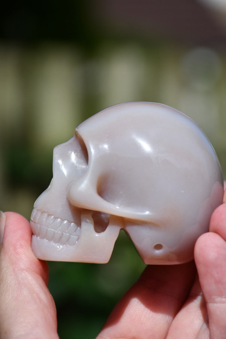 (possible) Raven or Ravenia agate skull carve