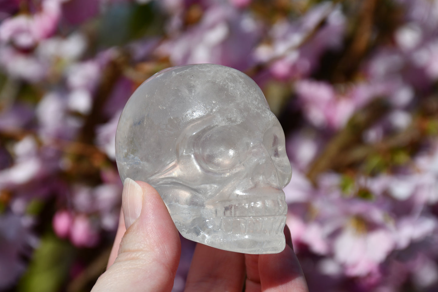Clear quartz skull