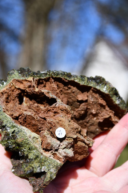 "fairy forest" epidote on quartz cluster