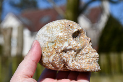 unusual jasper skull