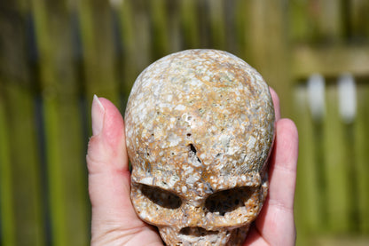 unusual jasper skull
