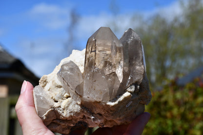 Himalayan smoky quartz and black tourmaline cluster