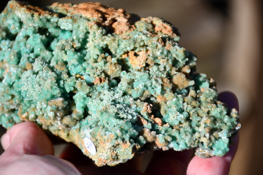 Unknown specimen crystal