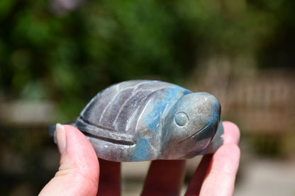 Trolleite or quantum quattro carved turtle
