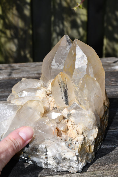 Himalayan quartz cluster with black tourmaline and mica