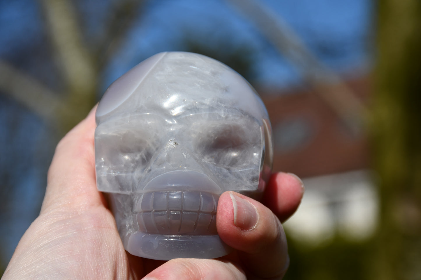 Chalcedony and druzy skull