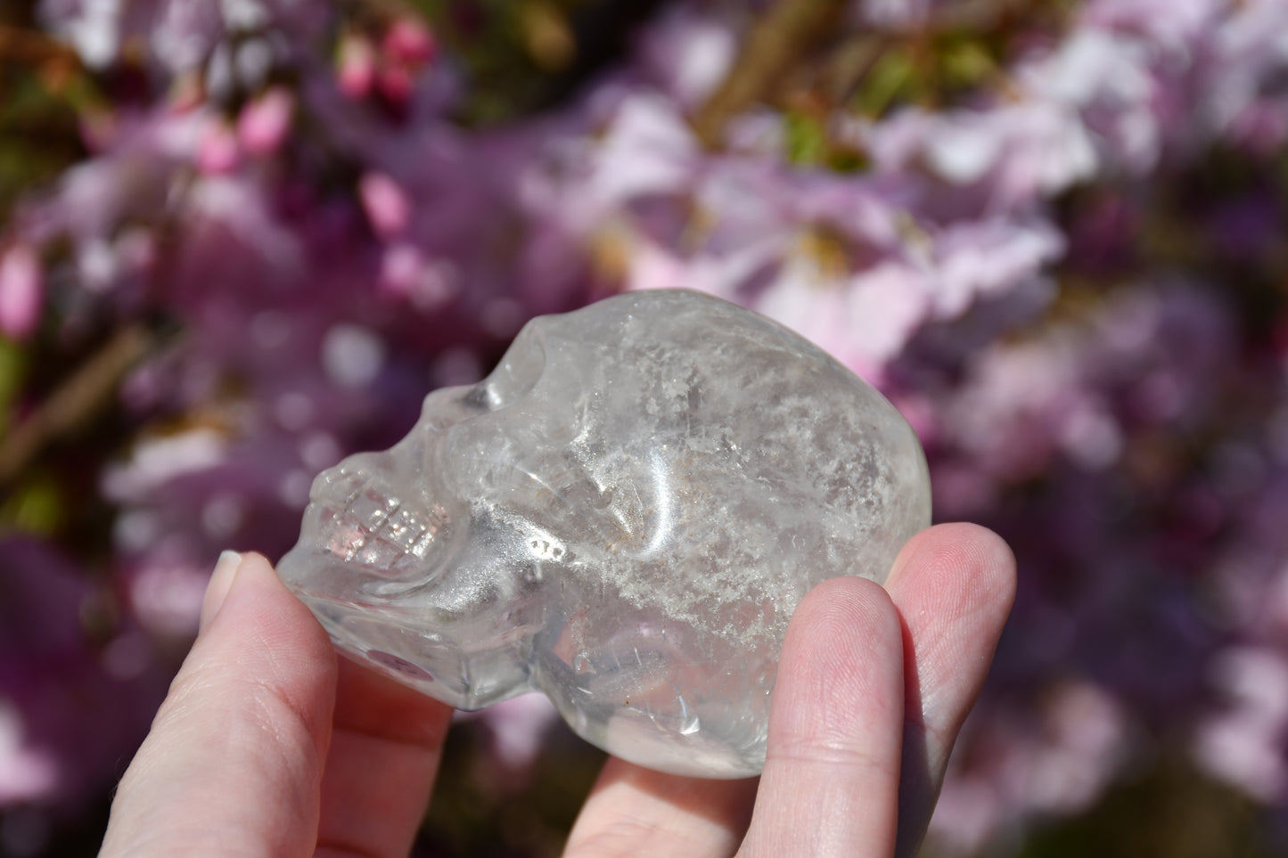 Clear quartz skull