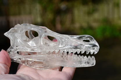 clear quartz Dinosaur skull