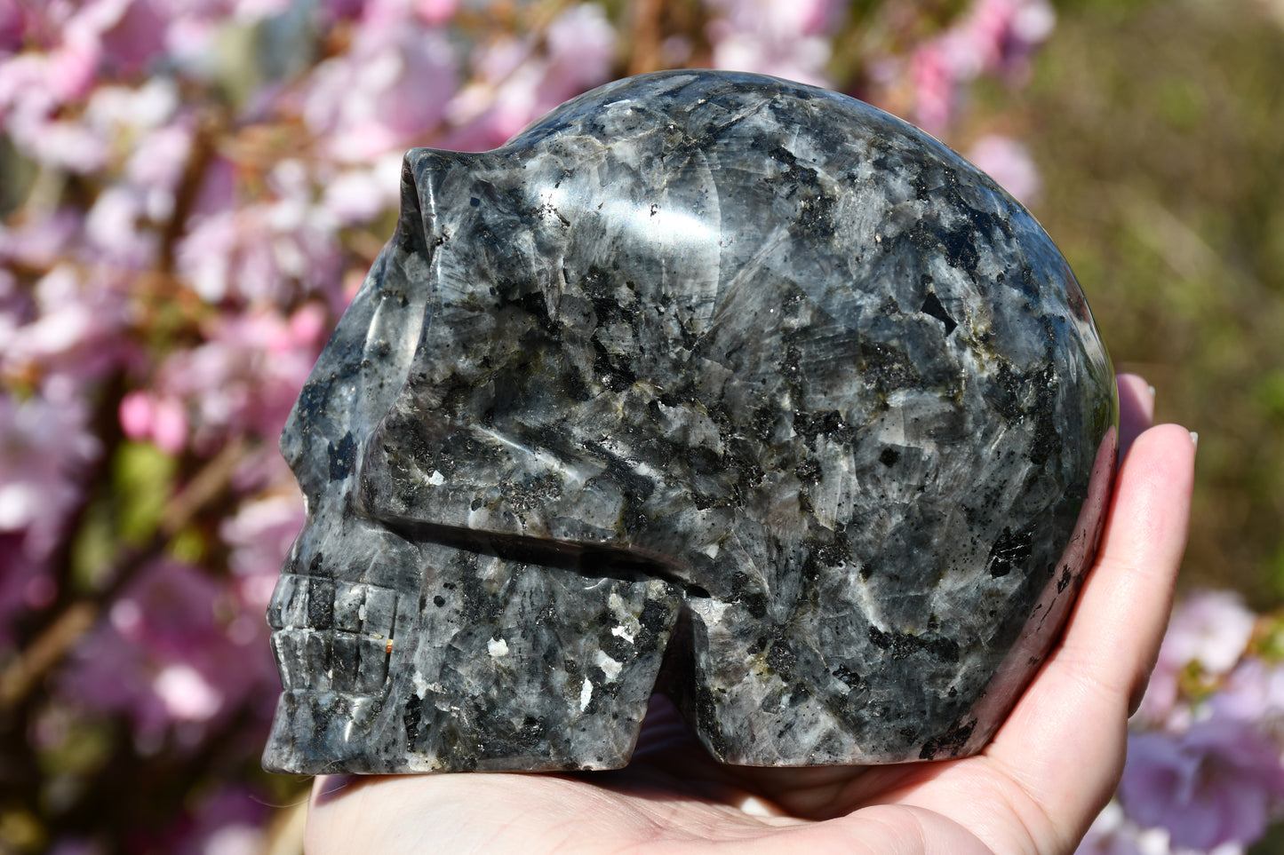 Larvikite star being