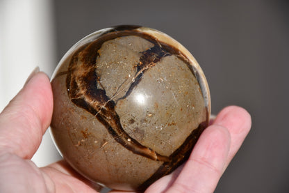 Septarian sphere