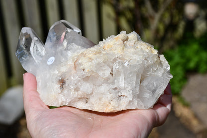 Himalayan clear quartz cluster