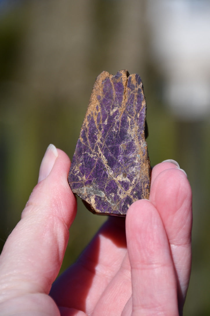 Purpurite skull - Manus carve