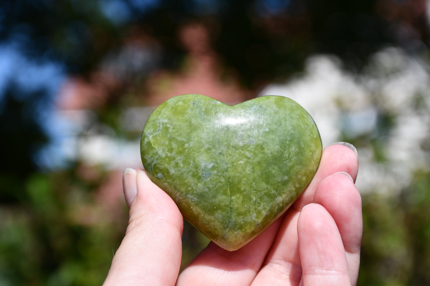 Serpentine heart