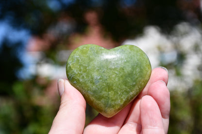 Serpentine heart