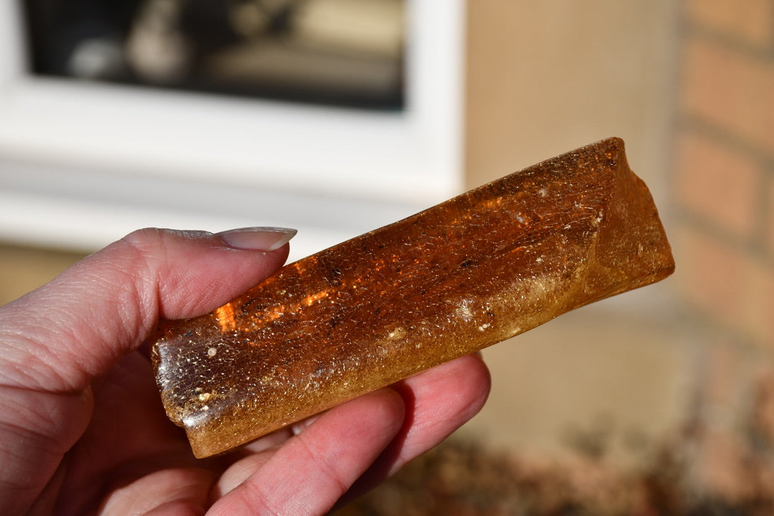 Copal or Amber with fossilised insects