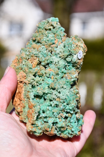 Unknown specimen crystal