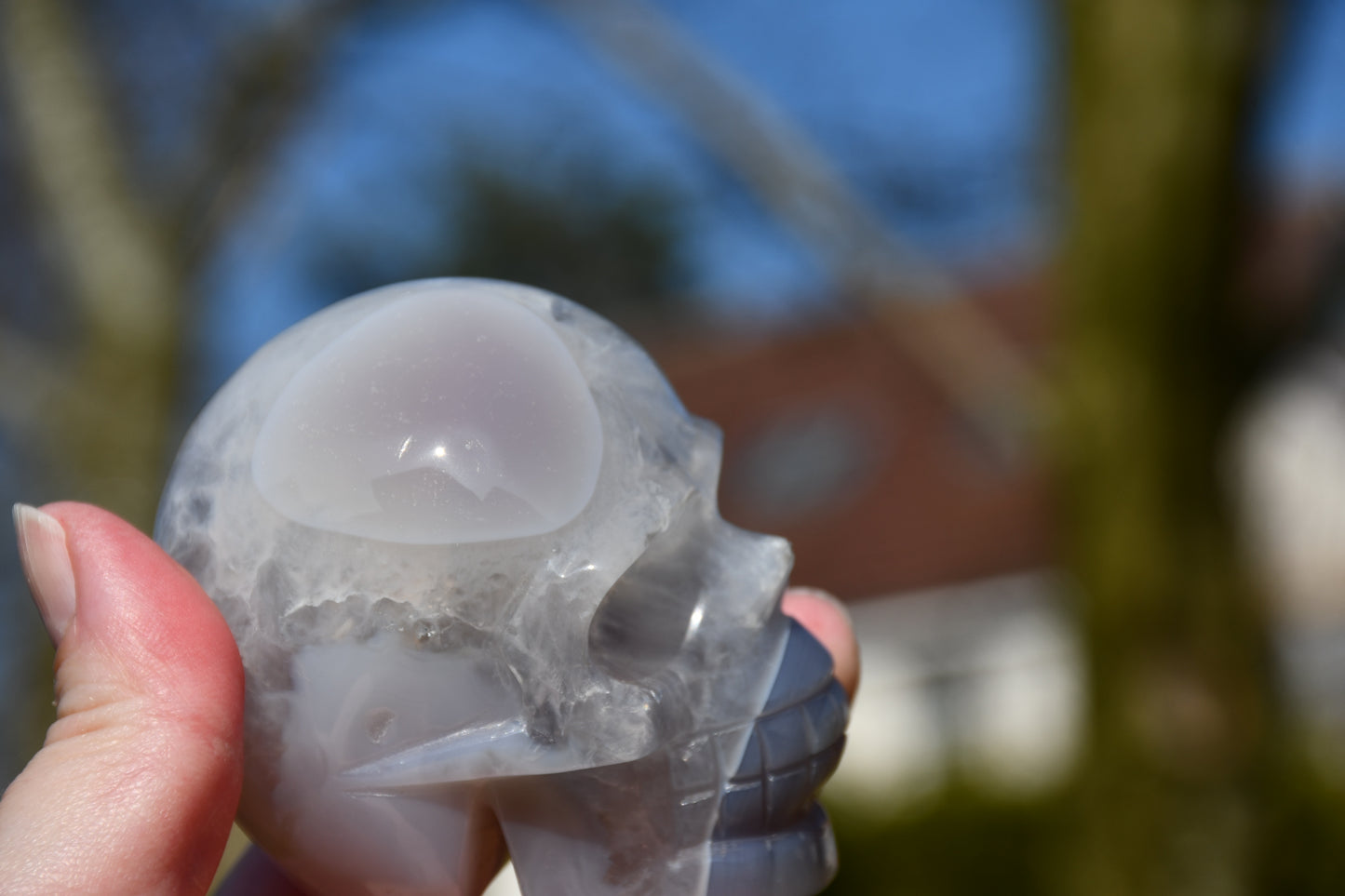 Chalcedony and druzy skull