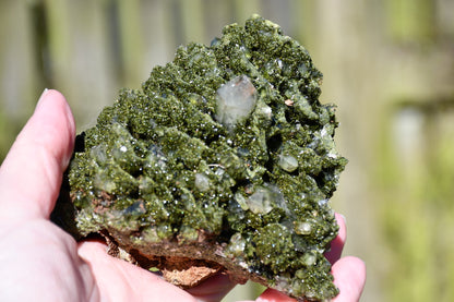 "fairy forest" epidote on quartz cluster