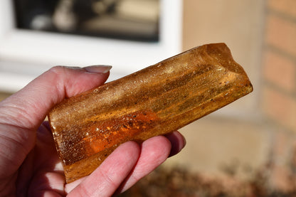 Copal or Amber with fossilised insects