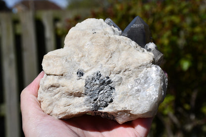 Himalayan smoky quartz and black tourmaline cluster