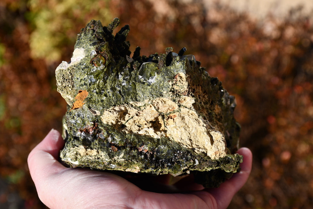 "Fairy forest" diopside and quartz cluster on matrix