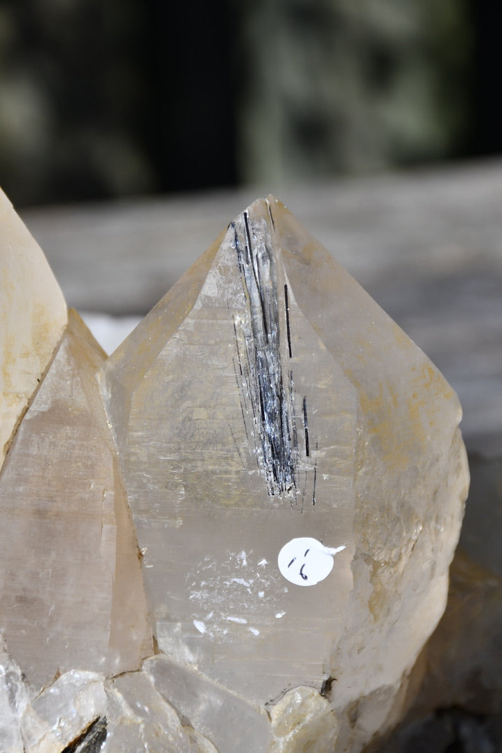 Himalayan quartz cluster with black tourmaline and mica