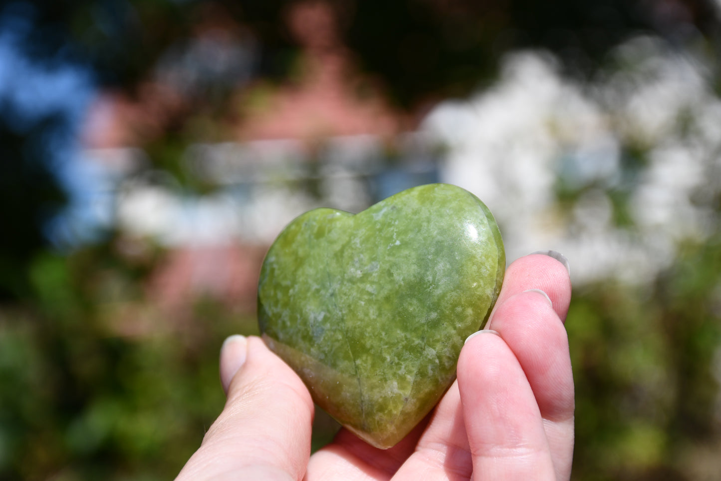 Serpentine heart