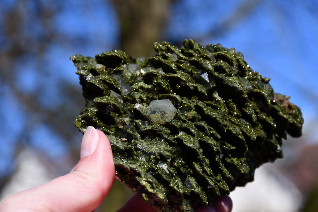 "fairy forest" epidote on quartz cluster