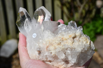 Himalayan clear quartz cluster