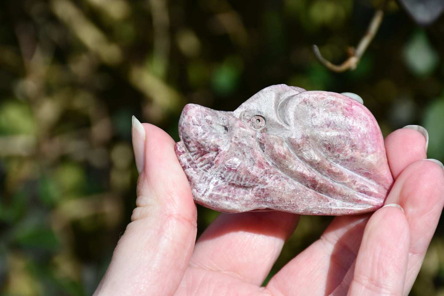 Red garnet or rhodonite dragon - Manus carve
