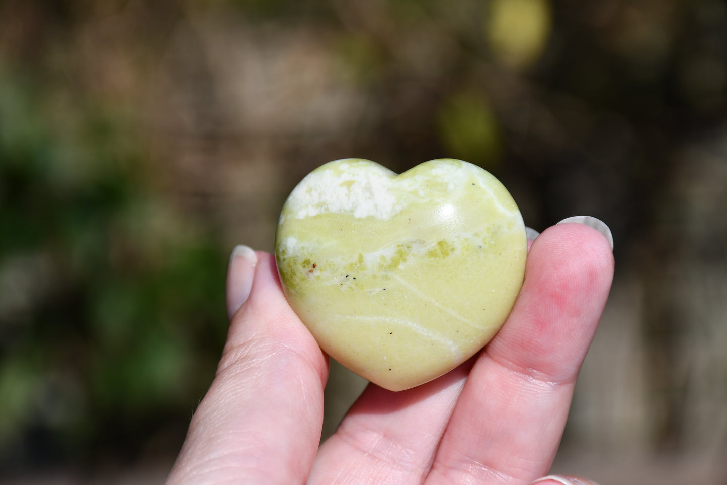 Small serpentine heart
