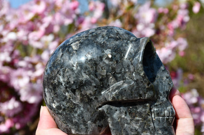 Larvikite star being