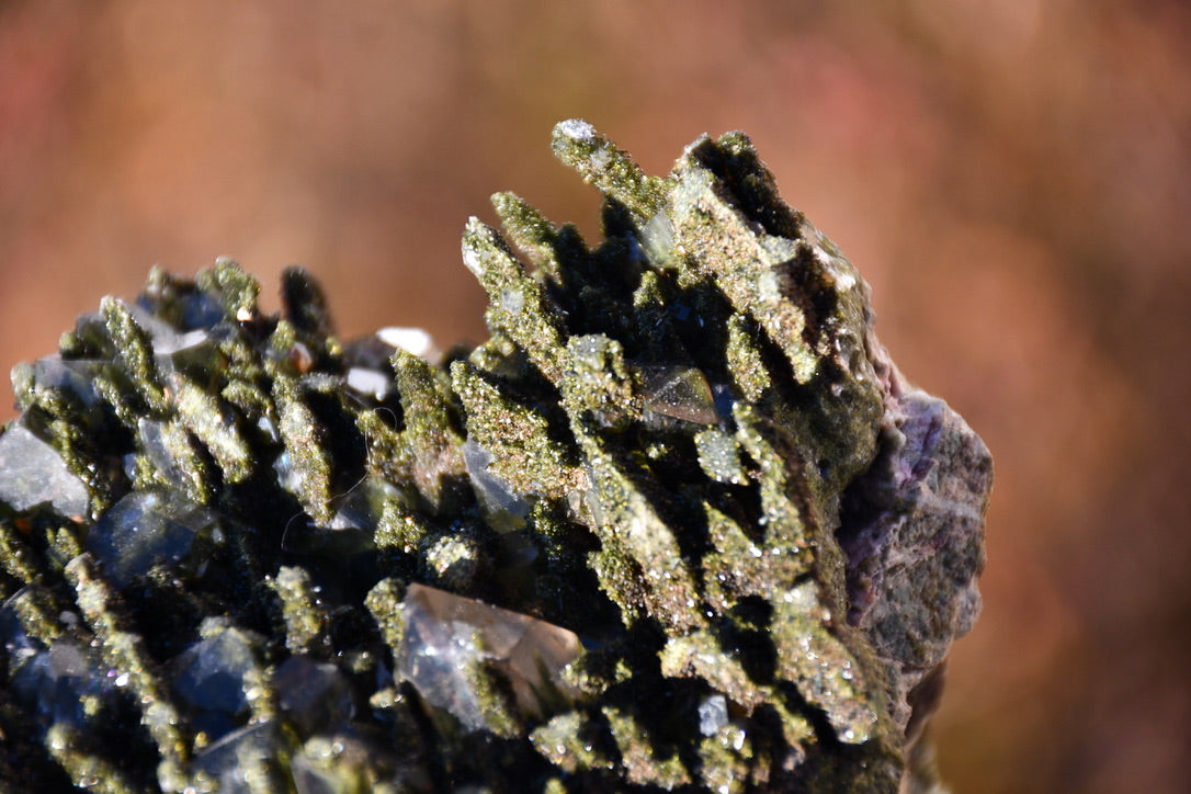 "Fairy forest" diopside and quartz cluster on matrix