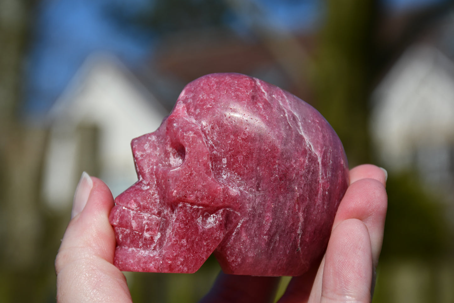Rhodonite in quartz skull