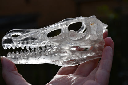 clear quartz Dinosaur skull