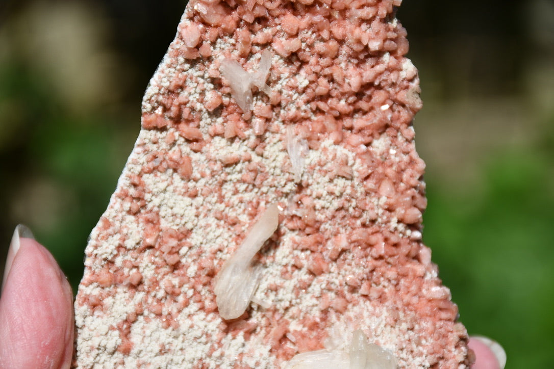 Mixed zeolites on matrix