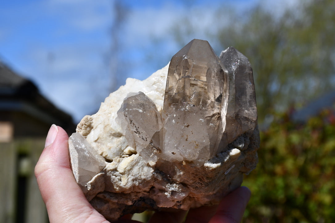 Himalayan smoky quartz and black tourmaline cluster