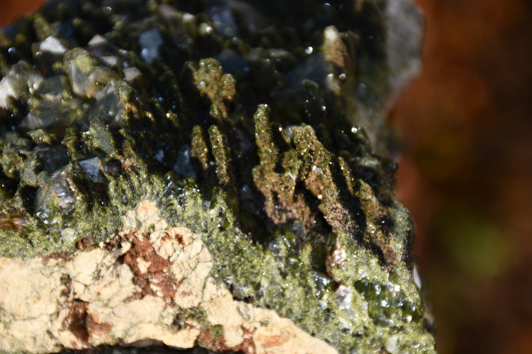 "Fairy forest" diopside and quartz cluster on matrix