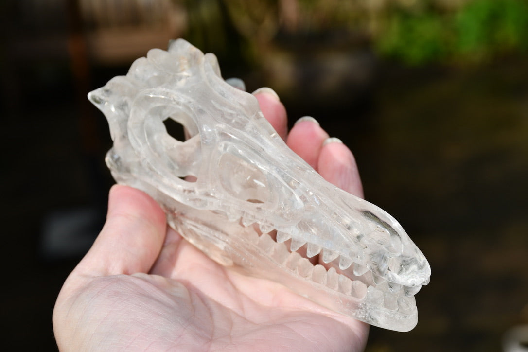 clear quartz Dinosaur skull