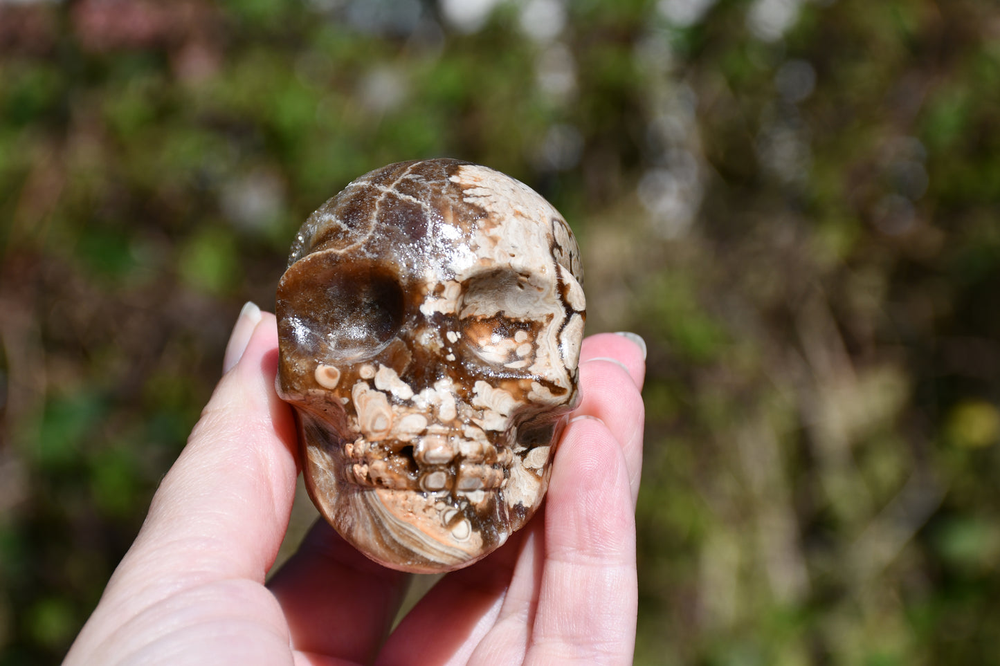 Aragonite carved skull